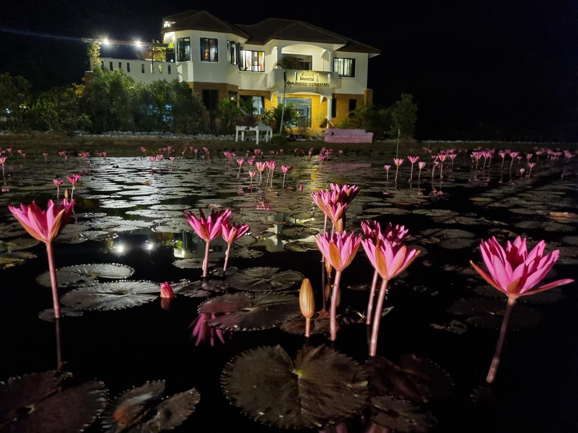 Bua Daeng Homestay Resort Kumphawapi Exterior foto